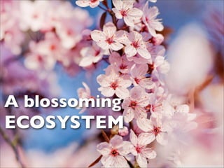 A blossoming
ECOSYSTEM
 