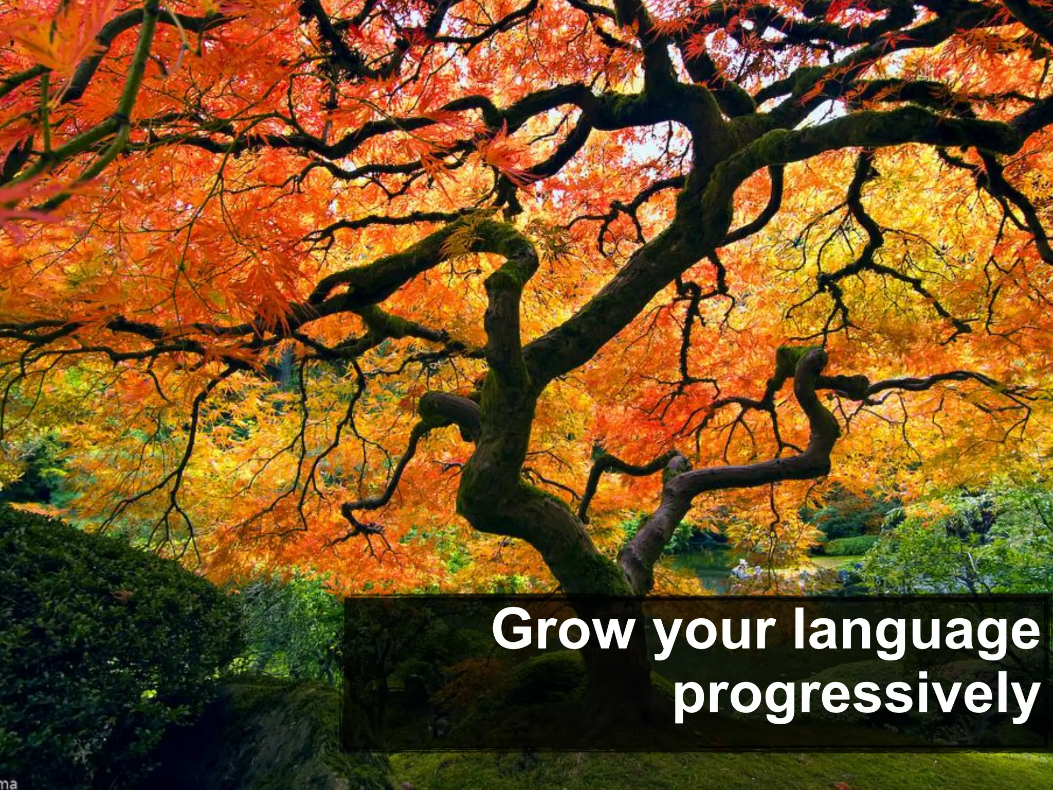 Grow your language
progressively
 