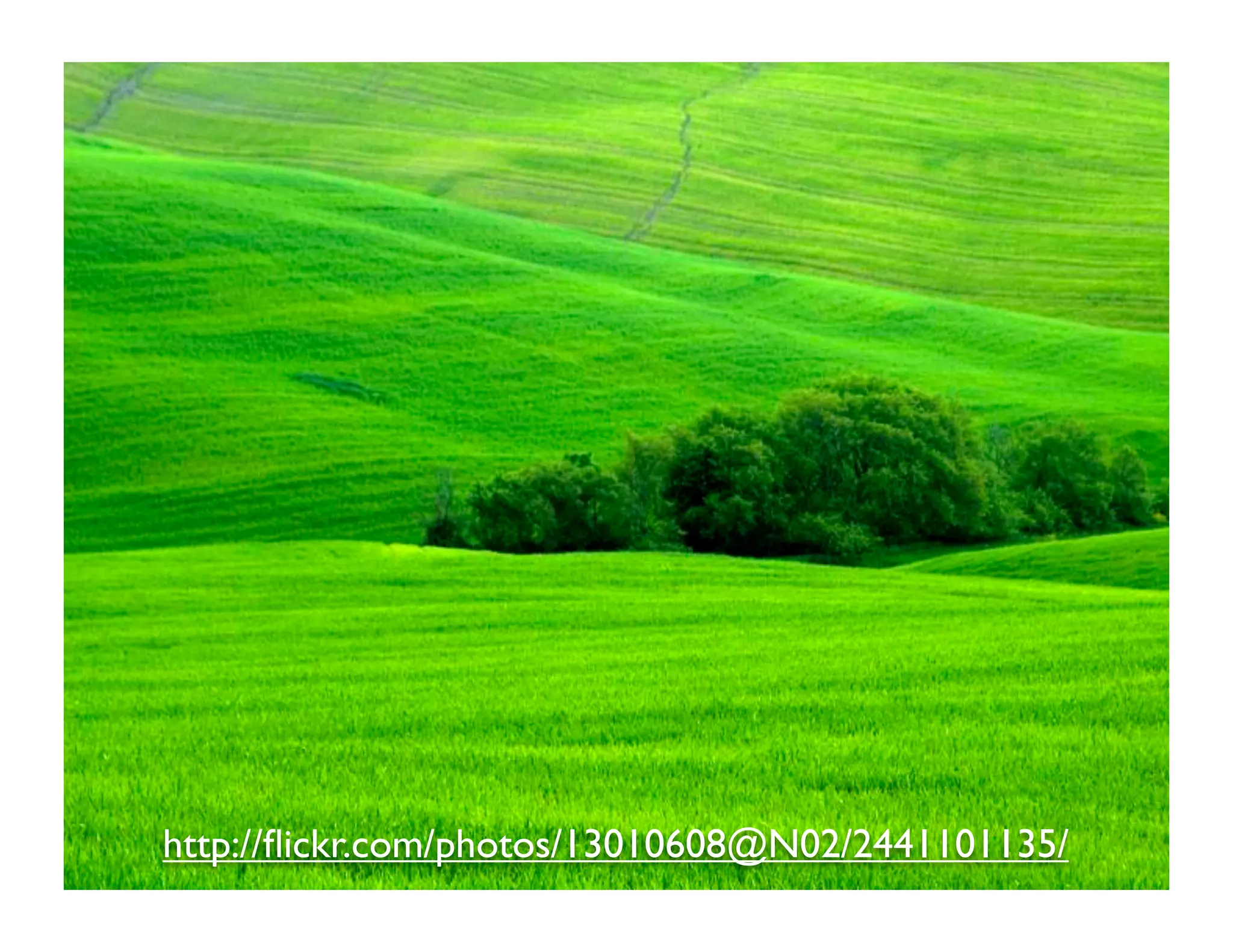 Groovy Grails DevJam Jam Session