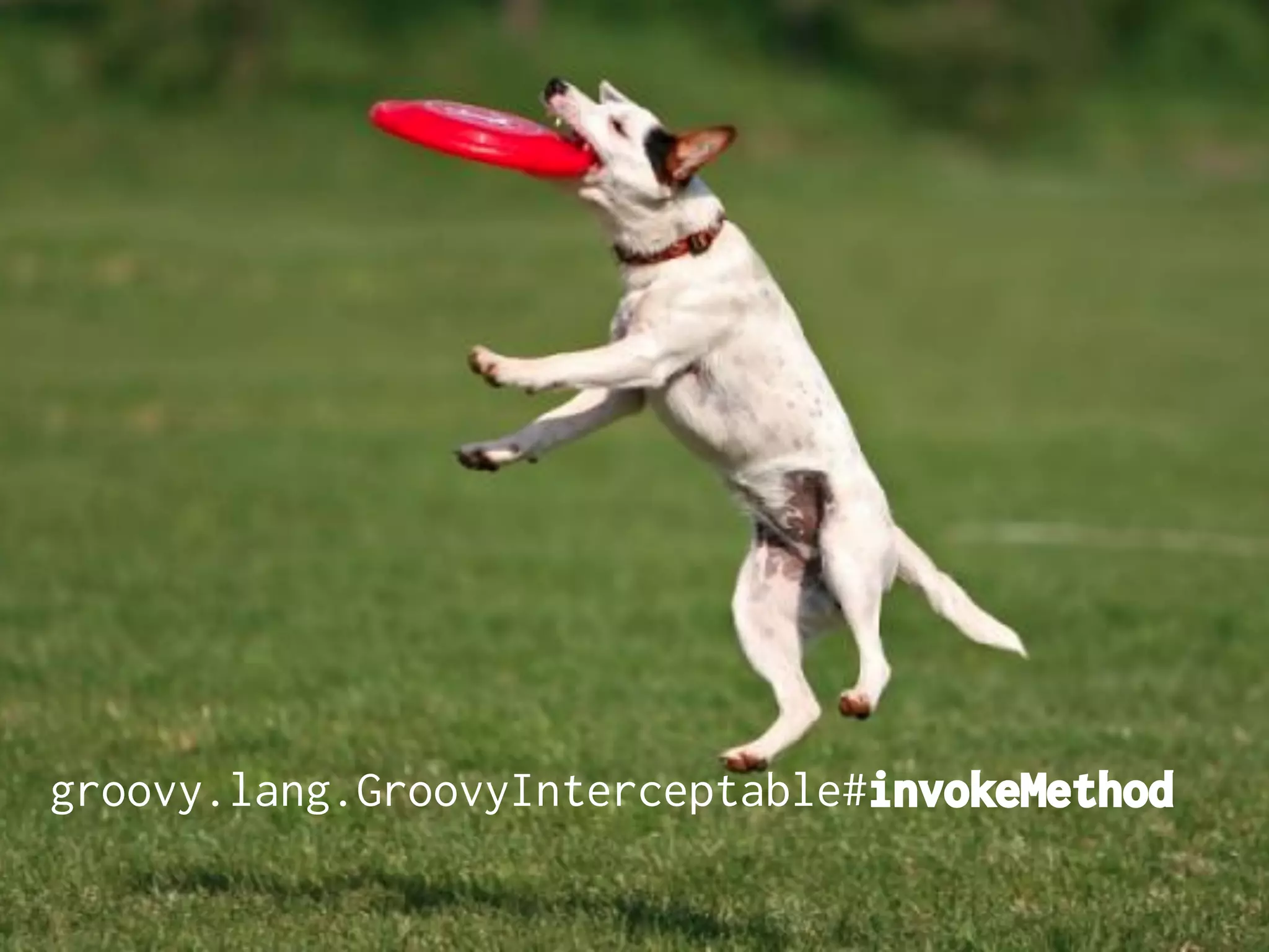 groovy.lang.GroovyInterceptable#invokeMethod

 