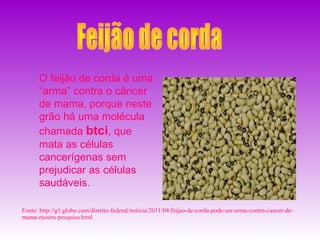 O feijão de corda é uma
      “arma” contra o câncer
      de mama, porque neste
      grão há uma molécula
      chamada btci, que
      mata as células
      cancerígenas sem
      prejudicar as células
      saudáveis.

Fonte: http://g1.globo.com/distrito-federal/noticia/2011/04/feijao-de-corda-pode-ser-arma-contra-cancer-de-
mama-mostra-pesquisa.html
 