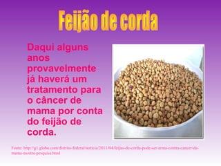 Daqui alguns
        anos
        provavelmente
        já haverá um
        tratamento para
        o câncer de
        mama por conta
        do feijão de
        corda.
Fonte: http://g1.globo.com/distrito-federal/noticia/2011/04/feijao-de-corda-pode-ser-arma-contra-cancer-de-
mama-mostra-pesquisa.html
 