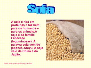 A soja é rica em
          proteínas e faz bem
          para os humanos e
          para os animais.A
          soja é da família
          Fabaceae
          (leguminosas). A
          palavra soja vem do
          japonês shoyu. A soja
          veio da China e do
          Japão.

Fonte: http://pt.wikipedia.org/wiki/Soja
 