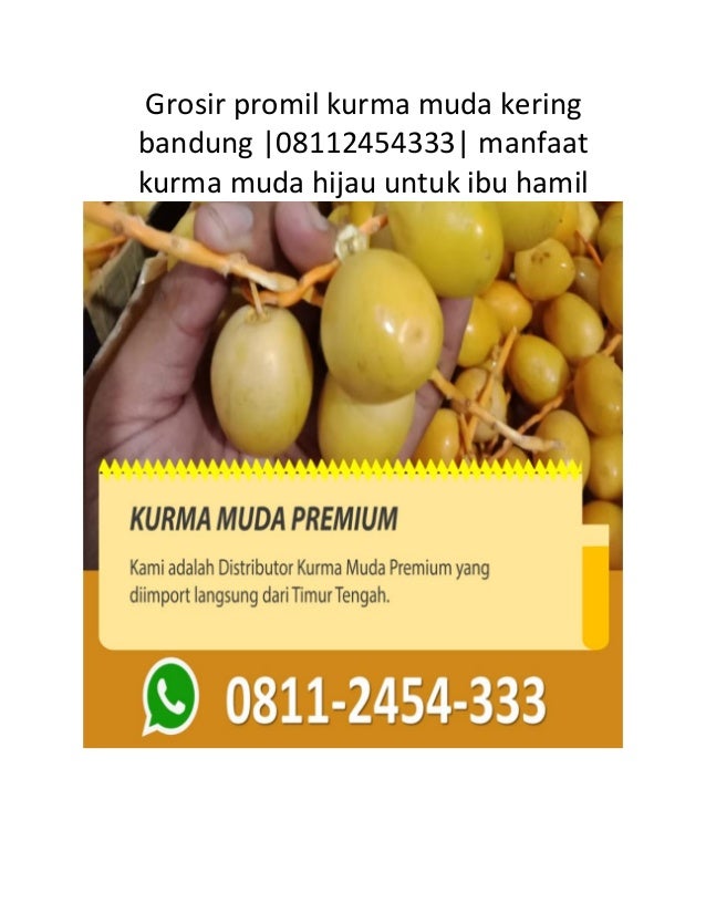 Grosir Promil Kurma Muda Kering Bandung 08112454333 Manfaat Kurma Mud Grosir Promil Kurma Muda Kering Bandung 08112454333 Manfaat Kurma Mud
