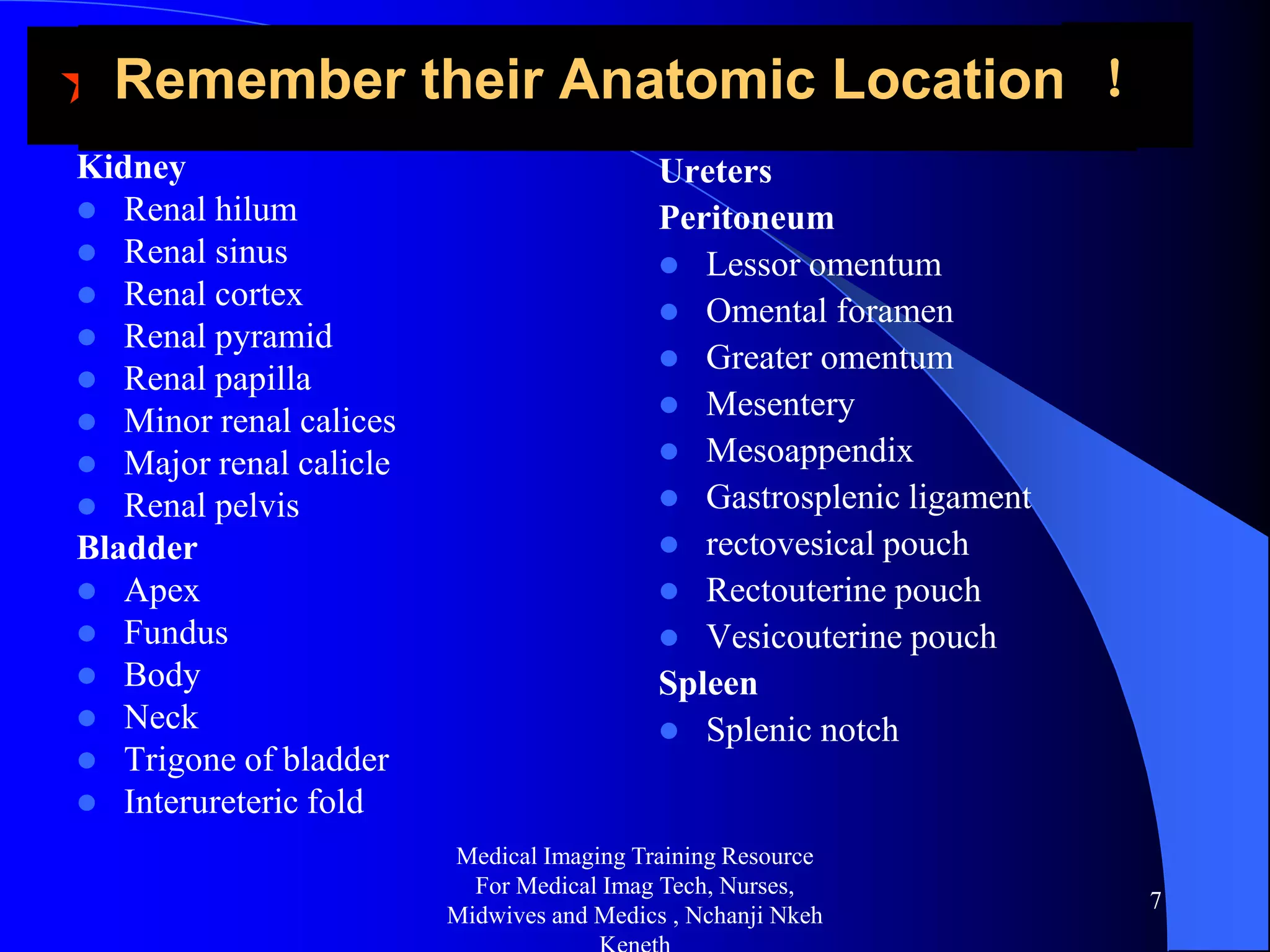 Gross abdominal anatomy radiology training lecture nchanji nkeh keneth ...