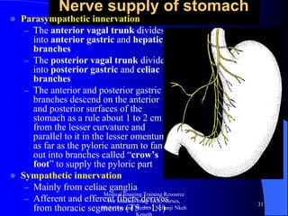 Gross abdominal anatomy radiology training lecture nchanji nkeh keneth ...