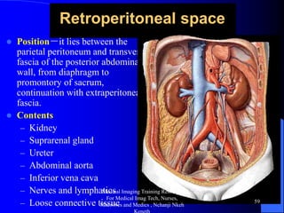 Gross abdominal anatomy radiology training lecture nchanji nkeh keneth ...