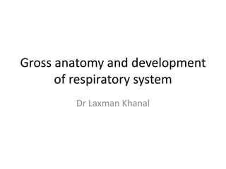 Gross anatomy and development
      of respiratory system
        Dr Laxman Khanal
 