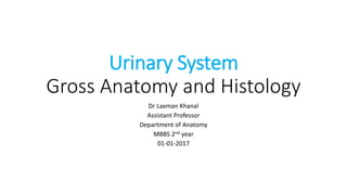 Urinary System
Gross Anatomy and Histology
Dr Laxman Khanal
Assistant Professor
Department of Anatomy
MBBS 2nd year
01-01-2017
 