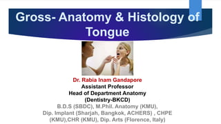 Gross- Anatomy & Histology of
Tongue
Dr. Rabia Inam Gandapore
Assistant Professor
Head of Department Anatomy
(Dentistry-BKCD)
B.D.S (SBDC), M.Phil. Anatomy (KMU),
Dip. Implant (Sharjah, Bangkok, ACHERS) , CHPE
(KMU),CHR (KMU), Dip. Arts (Florence, Italy)
 