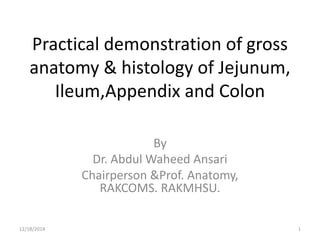 Practical demonstration of gross
anatomy & histology of Jejunum,
Ileum,Appendix and Colon
By
Dr. Abdul Waheed Ansari
Chairperson &Prof. Anatomy,
RAKCOMS. RAKMHSU.
12/18/2014 1
 