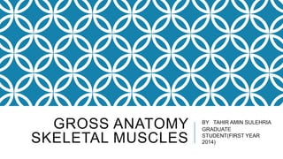 GROSS ANATOMY
SKELETAL MUSCLES

BY TAHIR AMIN SULEHRIA
GRADUATE
STUDENT(FIRST YEAR
2014)

 