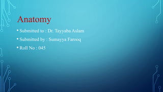 Anatomy
• Submitted to : Dr. Tayyaba Aslam
• Submitted by : Sumayya Farooq
• Roll No : 045
 