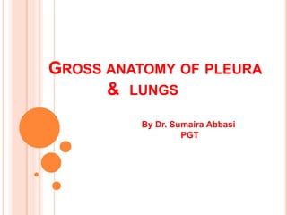 GROSS ANATOMY OF PLEURA
& LUNGS
By Dr. Sumaira Abbasi
PGT
 