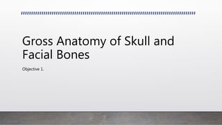 Gross Anatomy of Skull and
Facial Bones
Objective 1.
 
