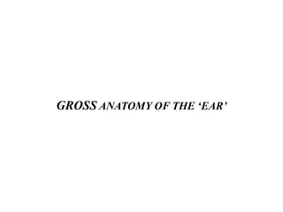 GROSS ANATOMY OF THE ‘EAR’

 