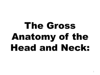 The Gross
Anatomy of the
Head and Neck:
1

 