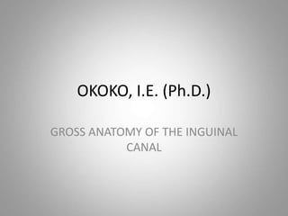 OKOKO, I.E. (Ph.D.)
GROSS ANATOMY OF THE INGUINAL
CANAL
 
