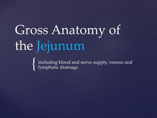 {
Gross Anatomy of
the Jejunum
including blood and nerve supply, venous and
lymphatic drainage.
 
