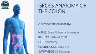 NAME: Ebere Uchenna Emmanuel
REG. NO.: 2017/MD/6106
DEPT.: Anatomy
COURSE CODE: ANA 441
SUPERVISOR: Dr. Ezemagu
GROSS ANATOMY OF
THE COLON
A Seminar presentation by:
 