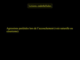 Lésions endothéliales Agressions pariétales lors de l’accouchement (voie naturelle ou  césarienne) 