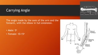 Carrying Angle
The angle made by the axes of the arm and the
forearm, with the elbow in full extension.
• Male: 5o
• Female: 10-15o
 