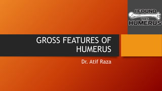 GROSS FEATURES OF
HUMERUS
Dr. Atif Raza
 