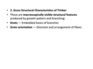 Tree Structure Timber Comprehensive Overview of Macroscopic Features of Wood and Tree Trunk ...