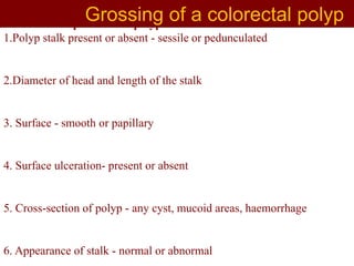 • Gross description of the polyp:
1.Polyp stalk present or absent - sessile or pedunculated
2.Diameter of head and length of the stalk
3. Surface - smooth or papillary
4. Surface ulceration- present or absent
5. Cross-section of polyp - any cyst, mucoid areas, haemorrhage
6. Appearance of stalk - normal or abnormal
Grossing of a colorectal polyp
 