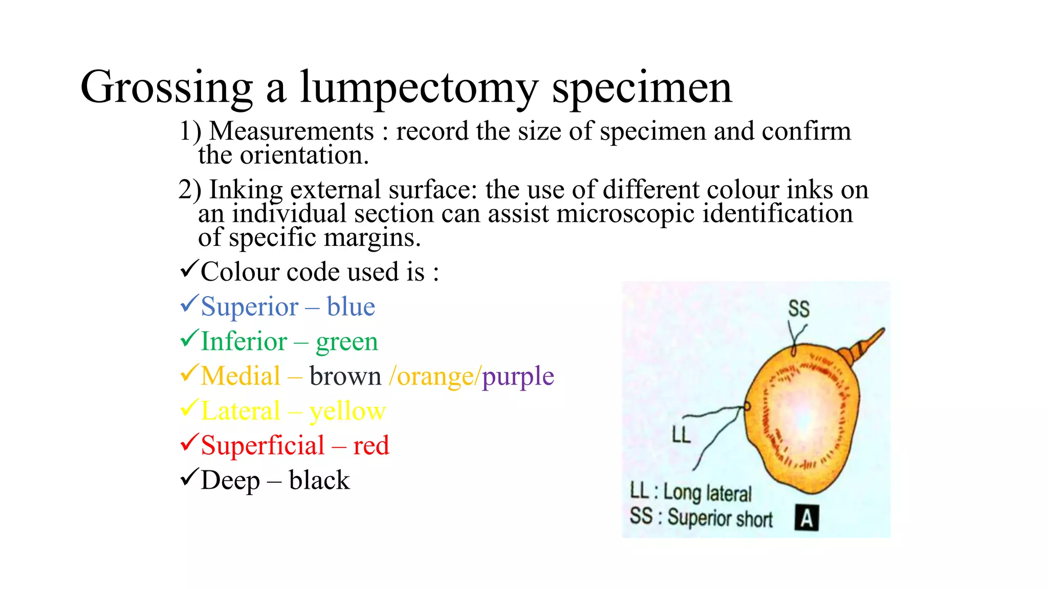 GROSSING OF BREAST.pptx