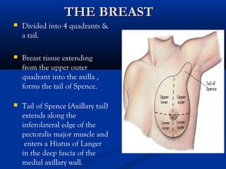 Grossing of breast specimens.pptmain PPT