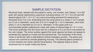 gross kidney methods for histology techniques.pptx