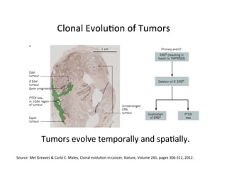 Clonal	
  Evolu=on	
  of	
  Tumors	
  
Tumors	
  evolve	
  temporally	
  and	
  spa=ally.	
  
Source:	
  Mel	
  Greaves	
  &	
  Carlo	
  C.	
  Maley,	
  Clonal	
  evolu=on	
  in	
  cancer,	
  Nature,	
  Volume	
  241,	
  pages	
  306-­‐312,	
  2012.	
  
 