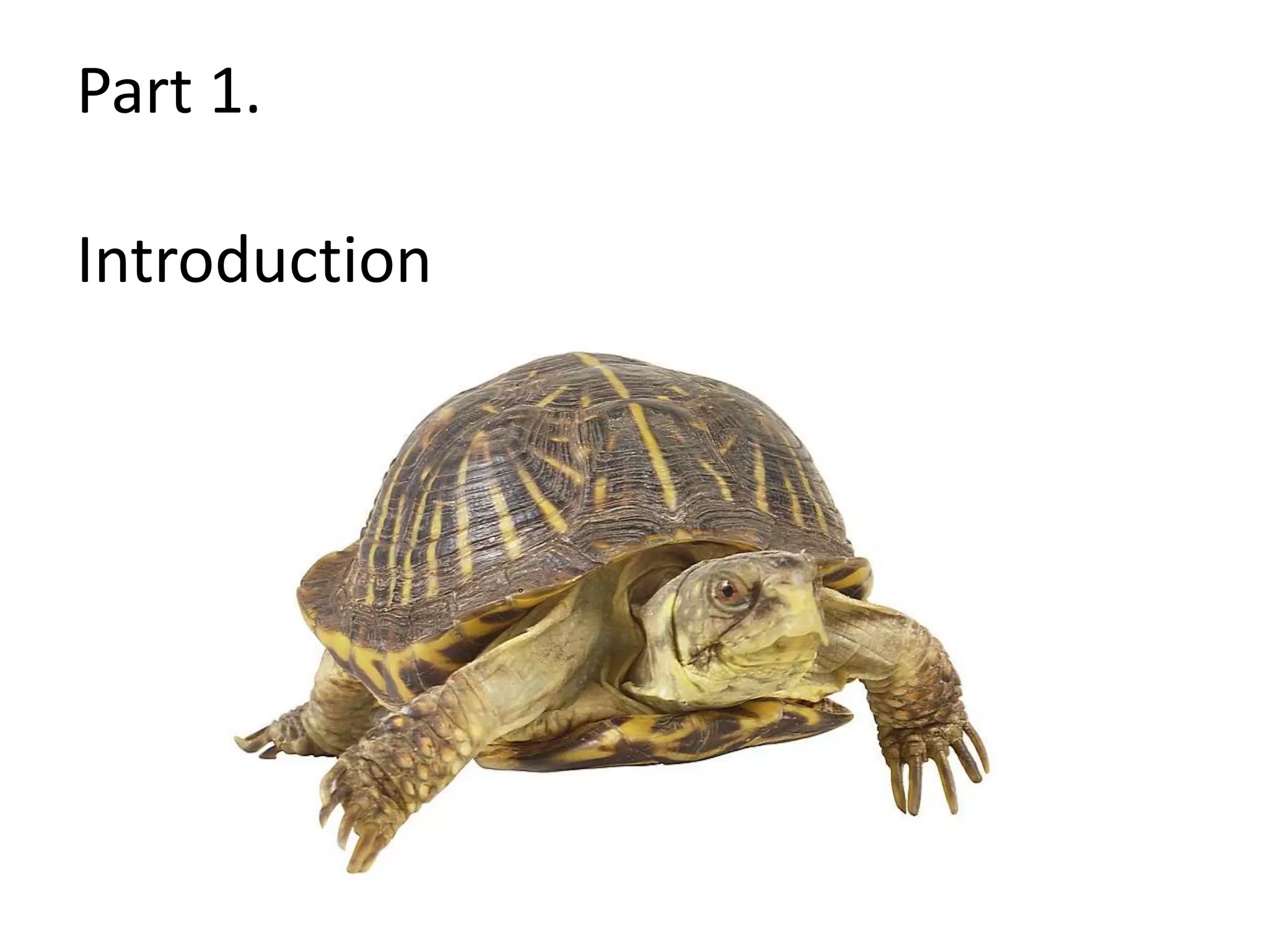 Part 1.  Introduction3