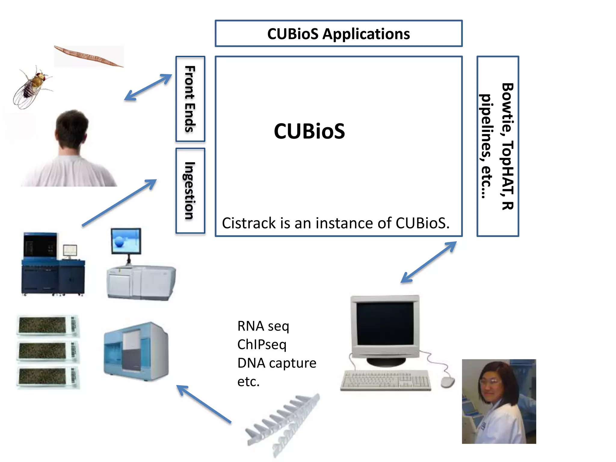 CUBioS ApplicationsFront EndsCUBioSBowtie, TopHAT, R pipelines, etc… IngestionCistrack is an instance of CUBioS.RNA seqChIPseqDNA captureetc.