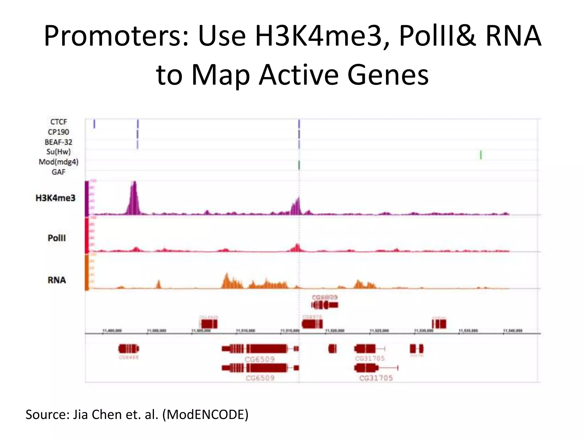 Promoters: Use H3K4me3, PolII & RNA to Map Active GenesSource: Jia Chen et. al. (ModENCODE) 