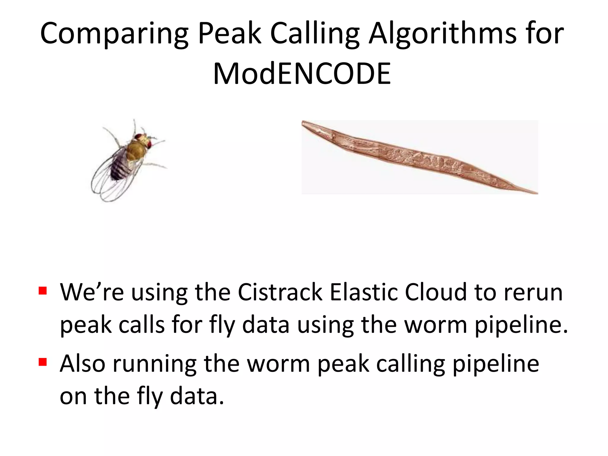 Comparing Peak Calling Algorithms for ModENCODEWe’re using the Cistrack Elastic Cloud to rerun peak calls for fly data using the worm pipeline.Also running the worm peak calling pipeline on the fly data.