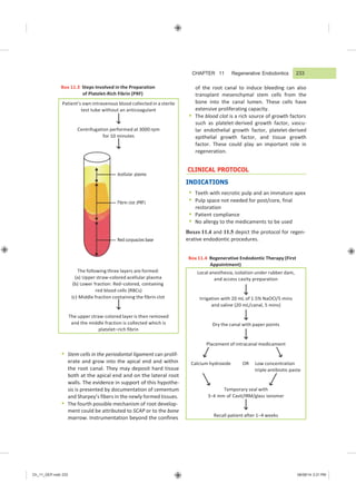 Ch_11_GEP.indd 233 08/08/14 2:21 PM
Local anesthesia, isolation under rubber dam,
and access cavity preparation
Irrigation with 20 mL of 1.5% NaOCl/5 mins
and saline (20 mL/canal, 5 mins)
Dry the canal with paper points
Placement of intracanal medicament
Calcium hydroxide OR Low concentration
triple antibiotic paste
Temporary seal with
3−4 mm of Cavit/IRM/glass ionomer
Recall patient after 1−4 weeks
Patient’s own intravenous blood collected in a sterile
test tube without an anticoagulant
Centrifugation performed at 3000 rpm
for 10 minutes
Acellular plasma
Fibrin clot (PRF)
Red corpuscles base
The following three layers are formed:
(a) Upper straw-colored acellular plasma
(b) Lower fraction: Red−colored, containing
red blood cells (RBCs)
(c) Middle fraction containing the fibrin clot
The upper straw-colored layer is then removed
and the middle fraction is collected which is
platelet−rich fibrin
CHAPTER 11 Regenerative Endodontics
Box 11.3 Steps Involved in the Preparation
of Platelet-Rich Fibrin (PRF)
of the root canal to induce bleeding can also
transplant mesenchymal stem cells from the
bone into the canal lumen. These cells have
extensive proliferating capacity.
 The blood clot is a rich source of growth factors
such as platelet-derived growth factor, vascu-
lar endothelial growth factor, platelet-derived
epithelial growth factor, and tissue growth
factor. These could play an important role in
regeneration.
CLINICAL PROTOCOL
INDICATIONS
 Teeth with necrotic pulp and an immature apex
 Pulp space not needed for post/core, final
restoration
 Patient compliance
 No allergy to the medicaments to be used
Boxes 11.4 and 11.5 depict the protocol for regen-
erative endodontic procedures.
Box 11.4 Regenerative Endodontic Therapy (First
Appointment)
 Stem cells in the periodontal ligament can prolif-
erate and grow into the apical end and within
the root canal. They may deposit hard tissue
both at the apical end and on the lateral root
walls. The evidence in support of this hypothe-
sis is presented by documentation of cementum
and Sharpey’s fibers in the newly formed tissues.
 The fourth possible mechanism of root develop-
ment could be attributed to SCAP or to the bone
marrow. Instrumentation beyond the confines
233
 