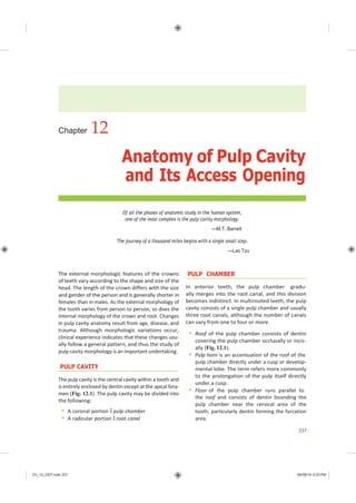 Ch_12_GEP.indd 237 08/08/14 5:03 PM
Chapter 12
Anatomy of Pulp Cavity
and Its Access Opening
Of all the phases of anatomic study in the human system,
one of the most complex is the pulp cavity morphology.
—M.T. Barrett
The journey of a thousand miles begins with a single small step.
—Lao Tzu
The external morphologic features of the crowns
of teeth vary according to the shape and size of the
head. The length of the crown differs with the size
and gender of the person and is generally shorter in
females than in males. As the external morphology of
the tooth varies from person to person, so does the
internal morphology of the crown and root. Changes
in pulp cavity anatomy result from age, disease, and
trauma. Although morphologic variations occur,
clinical experience indicates that these changes usu-
ally follow a general pattern, and thus the study of
pulp cavity morphology is an important undertaking.
PULP CAVITY
The pulp cavity is the central cavity within a tooth and
is entirely enclosed by dentin except at the apical fora-
men (Fig. 12.1). The pulp cavity may be divided into
the following:
 A coronal portion � pulp chamber
 A radicular portion � root canal
PULP CHAMBER
In anterior teeth, the pulp chamber gradu-
ally merges into the root canal, and this division
becomes indistinct. In multirooted teeth, the pulp
cavity consists of a single pulp chamber and usually
three root canals, although the number of canals
can vary from one to four or more.
 Roof of the pulp chamber consists of dentin
covering the pulp chamber occlusally or incis-
ally (Fig. 12.1).
 Pulp horn is an accentuation of the roof of the
pulp chamber directly under a cusp or develop-
mental lobe. The term refers more commonly
to the prolongation of the pulp itself directly
under a cusp.
 Floor of the pulp chamber runs parallel to
the roof and consists of dentin bounding the
pulp chamber near the cervical area of the
tooth, particularly dentin forming the furcation
area.
237
 