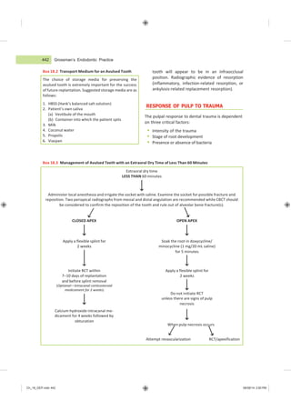Ch_18_GEP.indd 442 08/08/14 3:00 PM
Extraoral dry time
LESS THAN 60 minutes
Do not initiate RCT
unless there are signs of pulp
necrosis
Grossman’s Endodontic Practice
Box 18.2 Transport Medium for an Avulsed Tooth tooth will appear to be in an infraocclusal
position. Radiographic evidence of resorption
(inflammatory, infection-related resorption, or
ankylosis-related replacement resorption).
RESPONSE OF PULP TO TRAUMA
The pulpal response to dental trauma is dependent
on three critical factors:
 Intensity of the trauma
 Stage of root development
 Presence or absence of bacteria
Box 18.3 Management of Avulsed Teeth with an Extraoral Dry Time of Less Than 60 Minutes
RCT/apexification
Attempt revascularization
OPEN APEX
CLOSED APEX
Administer local anesthesia and irrigate the socket with saline. Examine the socket for possible fracture and
reposition. Two periapical radiographs from mesial and distal angulation are recommended while CBCT should
be considered to confirm the reposition of the tooth and rule out of alveolar bone fracture(s).
442
The choice of storage media for preserving the
avulsed tooth is extremely important for the success
of future replantation. Suggested storage media are as
follows:
1. HBSS (Hank’s balanced salt solution)
2. Patient’s own saliva
(a) Vestibule of the mouth
(b) Container into which the patient spits
3. Milk
4. Coconut water
5. Propolis
6. Viaspan
When pulp necrosis occurs
Calcium hydroxide intracanal me-
dicament for 4 weeks followed by
obturation
Apply a flexible splint for
2 weeks
Initiate RCT within
7−10 days of replantation
and before splint removal
(Optional—Intracanal corticosteroid
medicament for 2 weeks)
Soak the root in doxycycline/
minocycline (1 mg/20 mL saline)
for 5 minutes
Apply a flexible splint for
2 weeks
 