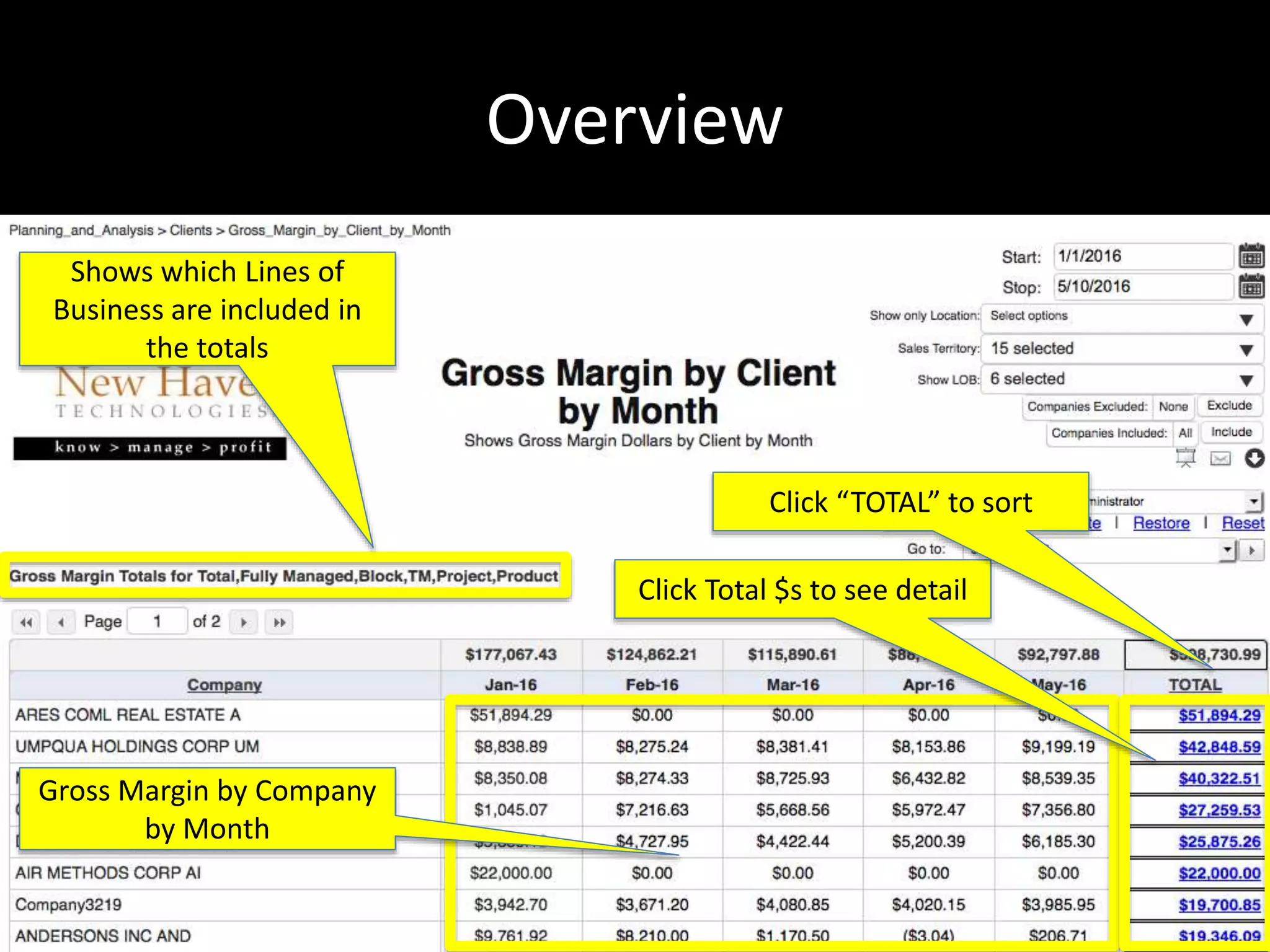Overview
Gross Margin by Company
by Month
Click Total $s to see detail
Click “TOTAL” to sort
Shows which Lines of
Business are included in
the totals
 