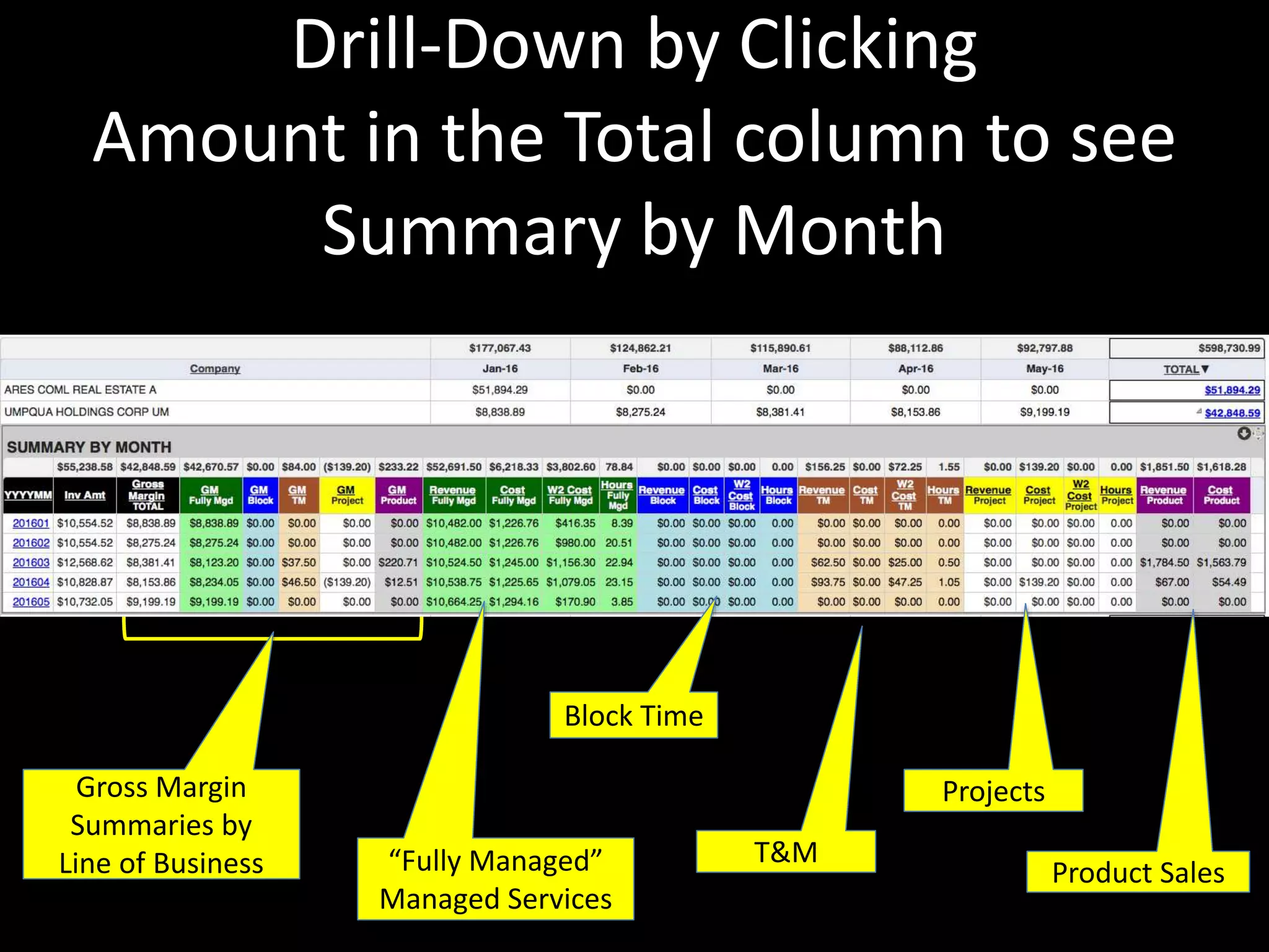 Drill-Down by Clicking
Amount in the Total column to see
Summary by Month
“Fully Managed”
Managed Services
Block Time
T&M
Product Sales
ProjectsGross Margin
Summaries by
Line of Business
 