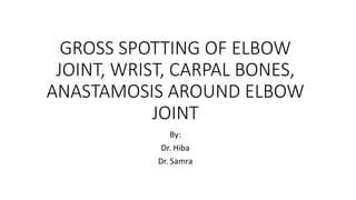 GROSS SPOTTING OF ELBOW
JOINT, WRIST, CARPAL BONES,
ANASTAMOSIS AROUND ELBOW
JOINT
By:
Dr. Hiba
Dr. Samra
 