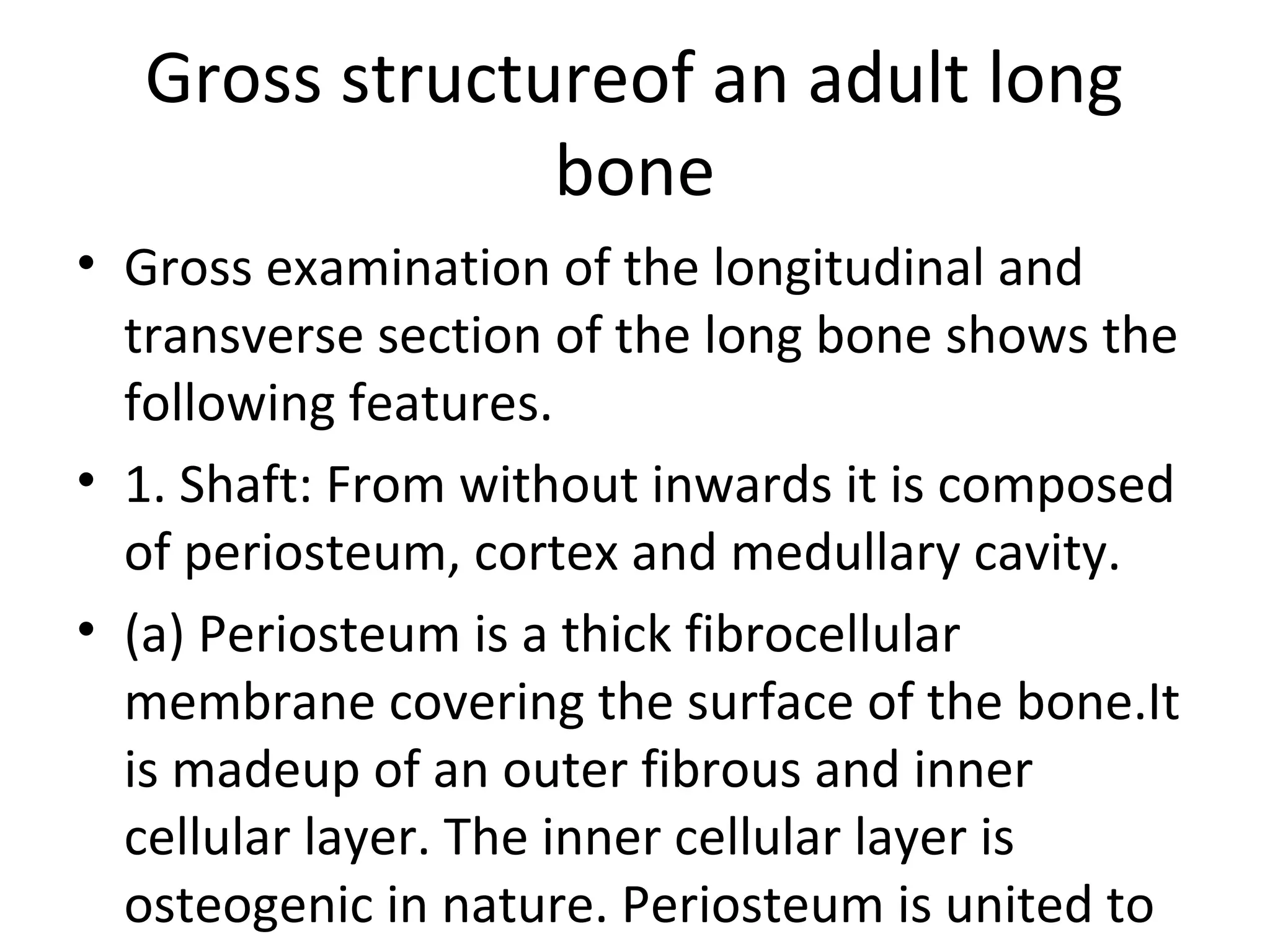 Gross structure of adult long bone | PPT