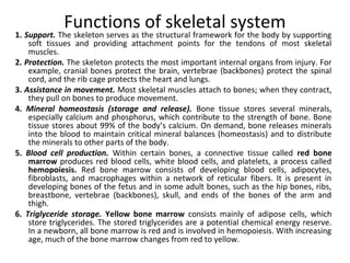 Functions of skeletal system

1. Support. The skeleton serves as the structural framework for the body by supporting
soft ...