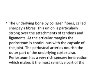 • The underlying bone by collagen fibers, called
sharpey’s fibres. This union is particularly
strong over the attachments ...