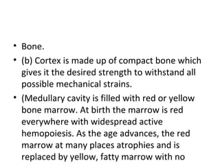• Bone.
• (b) Cortex is made up of compact bone which
gives it the desired strength to withstand all
possible mechanical s...