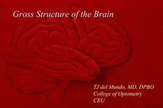 Gross Structure of the Brain TJ del Mundo, MD, DPBO College of Optometry CEU 
