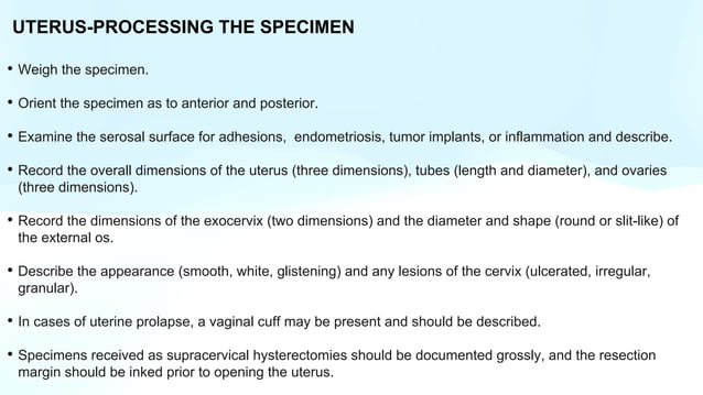 GROSS UTERUS with cervix and fallopian tube PPT.pptx
