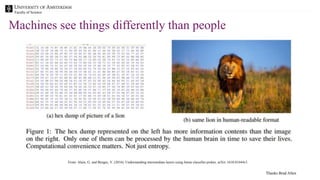 Faculty of Science
Machines see things differently than people
From: Alain, G. and Bengio, Y. (2016). Understanding intermediate layers using linear classifier probes. arXiv:1610.01644v1.
Thanks Brad Allen
 